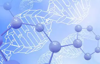 生物医疗网站建设构建连接健康与科技的桥梁